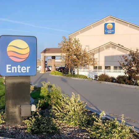 Comfort Inn Garden City Bagian luar foto