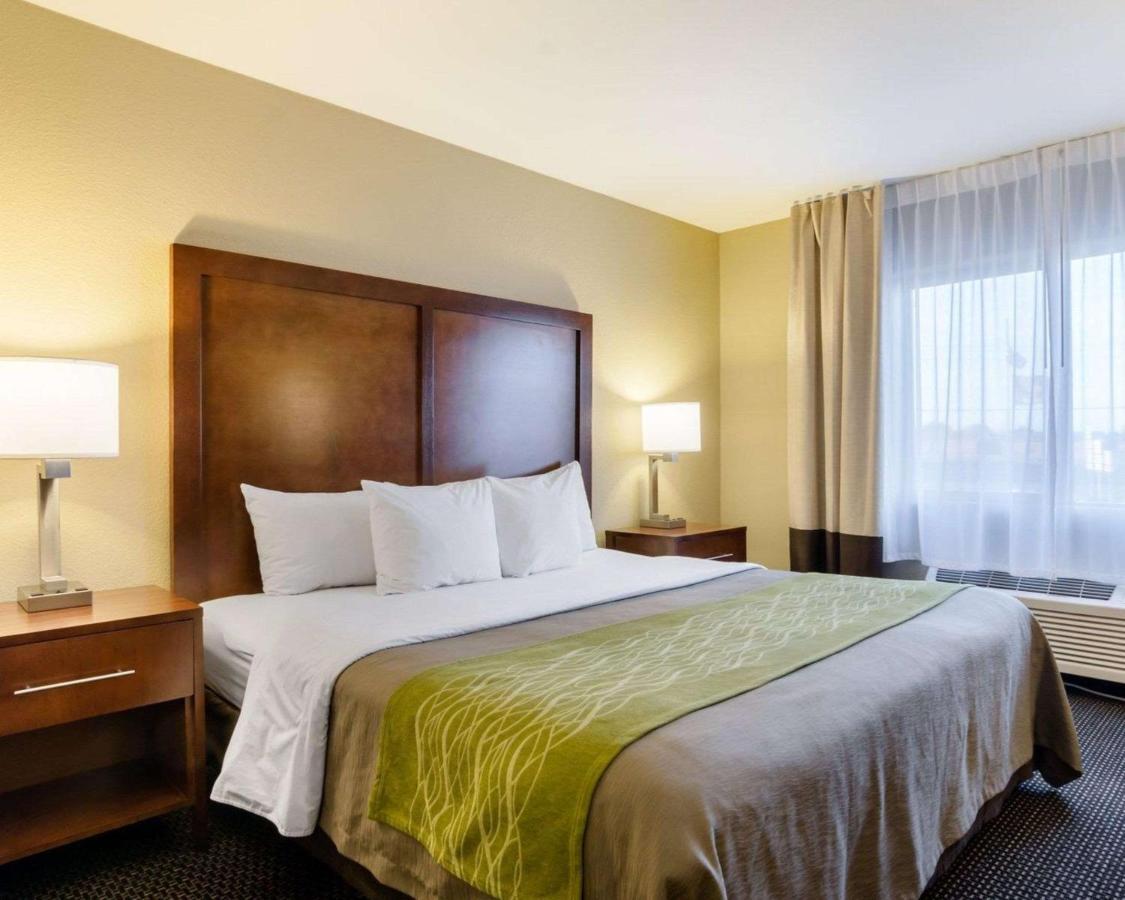 Comfort Inn Garden City Bagian luar foto