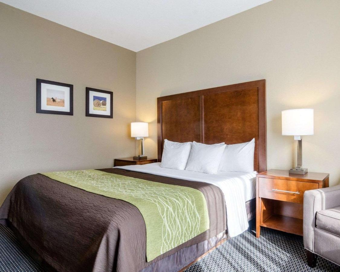 Comfort Inn Garden City Bagian luar foto