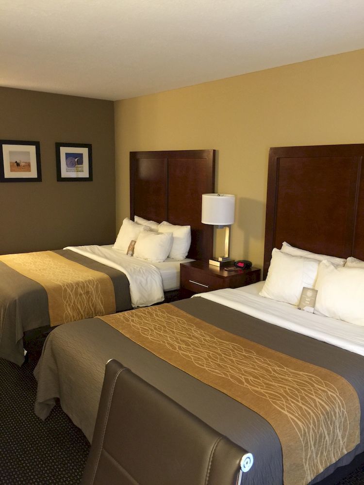 Comfort Inn Garden City Bagian luar foto